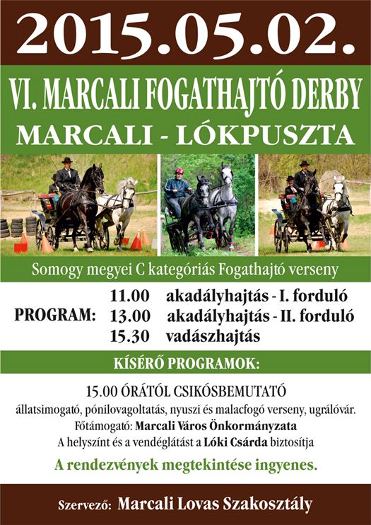 derby2015 web