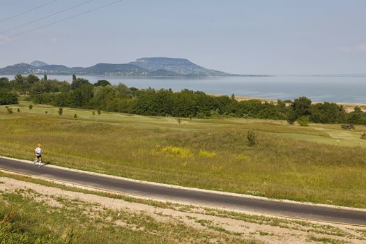 D  VG20150530016