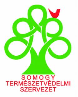 stvszLogo