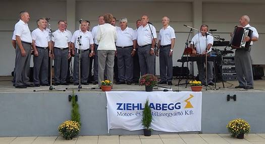 Ziehl Abegg Csaladi lead