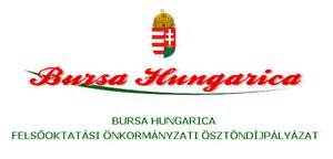 Bursa