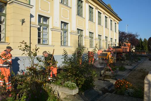 DSC 0919