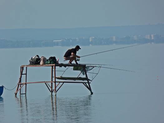 Balatoni horgász