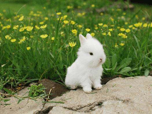 funny gifs708