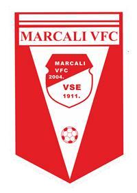 logo vfc