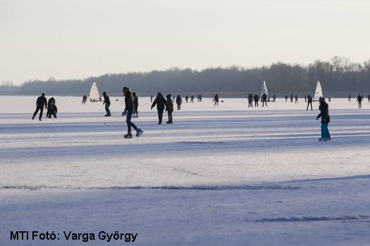 D VG20170115003