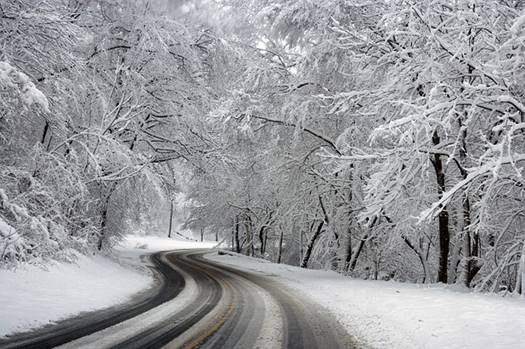 winter 581101