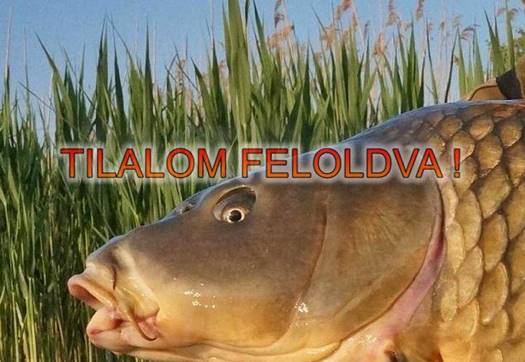 pontytilalmat iden is feloldottak a balatonon