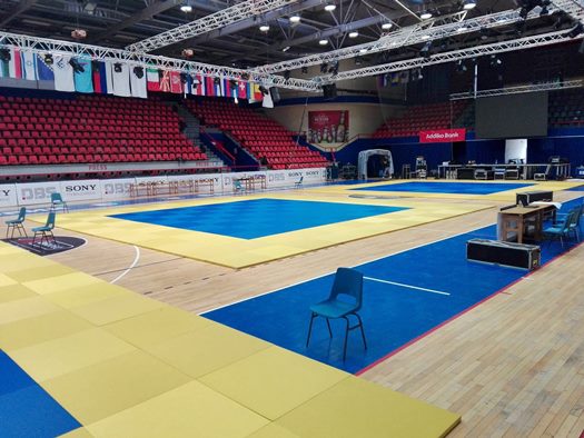 18927219 2294375910787905 1976883866 o