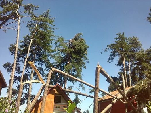IMG 20170712 103741