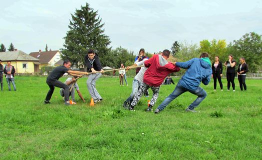 IMG 3384