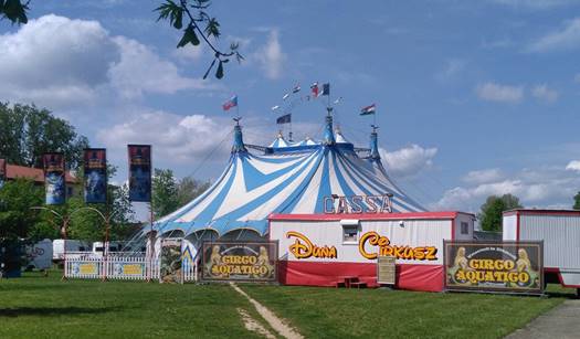 31230652 1866380036747915 9172796396057657344 n