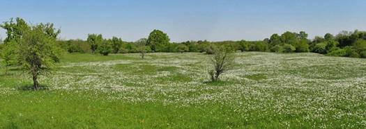 capture 20180428 110054