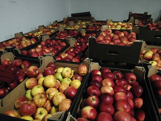 lefoglalt almaszallitmany