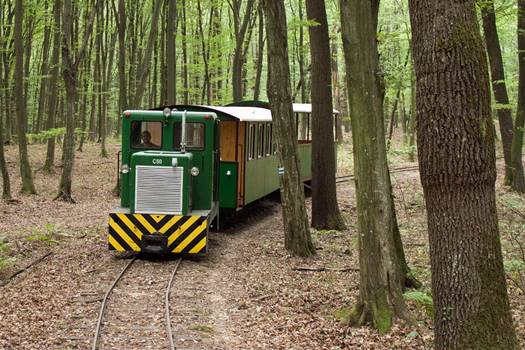 mesztegnyoi erdei vasut 2 foto SEFAG Zrt