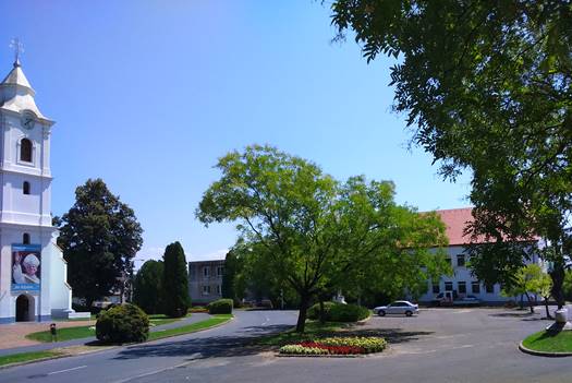 DSC 0550