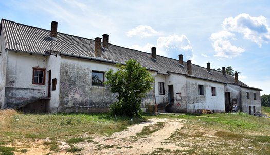 DSC 5814