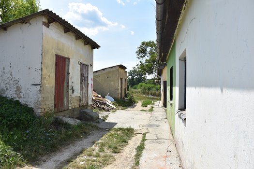 DSC 5832