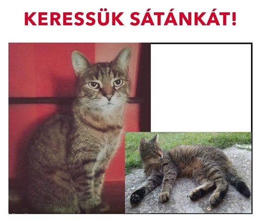 satanka