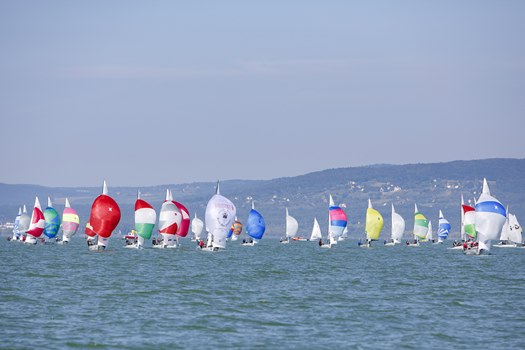 D VG20190916014