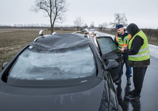 24 Nagybajom kapriport Nagy Laszlo ftzls 20200226 fm