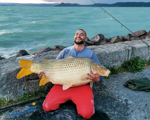 watermarkedBalatonfldvr0525305kg6kp