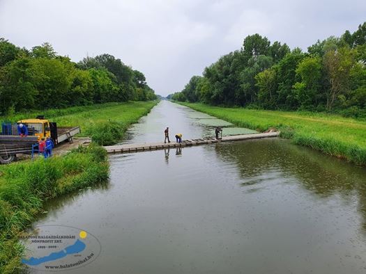 watermarkedhalrcsbontsa20200616