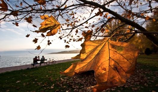 oszibalaton