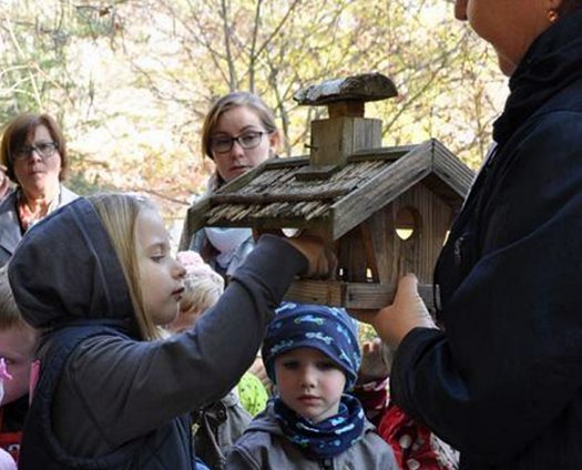 capture 20201128 140338