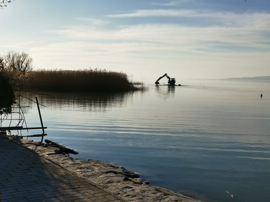 IMG 20210303 1618171