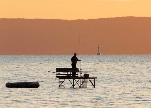 angler 5531835 640