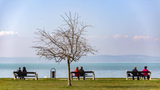 balaton vgy