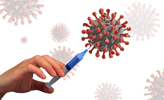 virus 5768628 640
