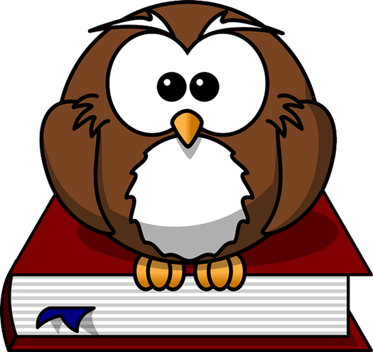 owl 47526 640