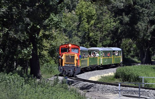 D MTZ20210701008