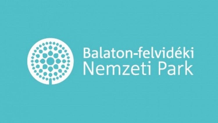 bfnpi logo 71480ac6 1117427