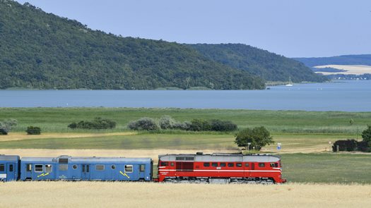 D MTZ20210711011