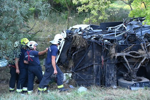 D MI20210815001