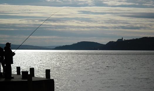 lake balaton 244251 640