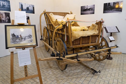 D VG20220303037