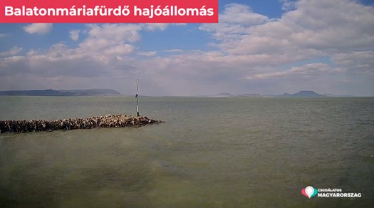 capture 20220310 151053