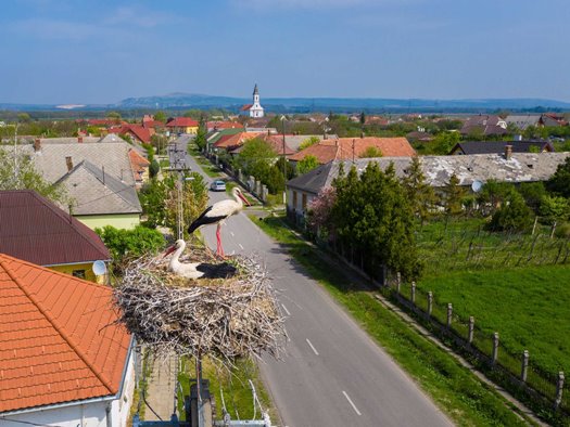 Gólyák érkezése 02