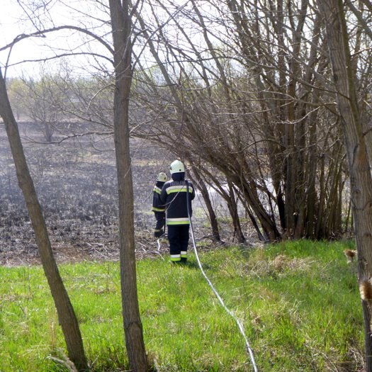 625412eb6a2e25.88052600