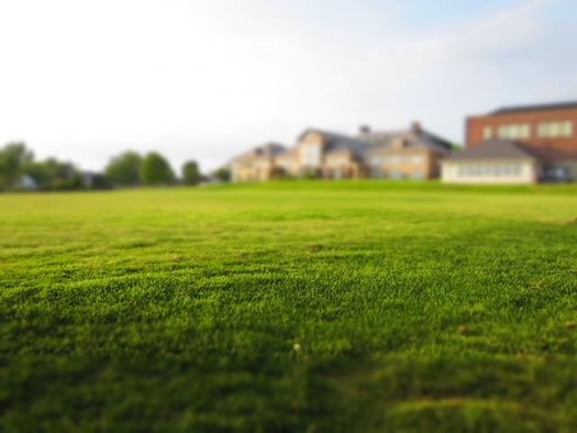 lawn 768316 640