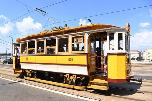 D MTZ20220611030