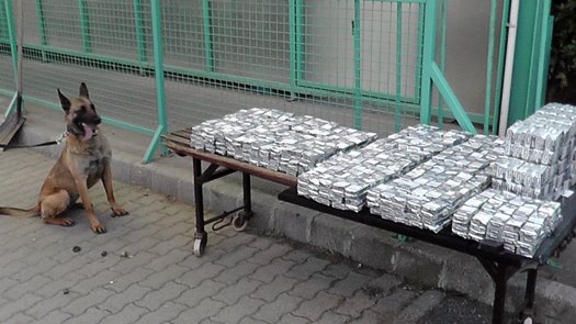 Donna a lefoglalt cigikkel
