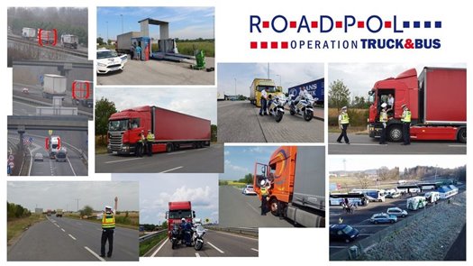 Truck and Bus Collage