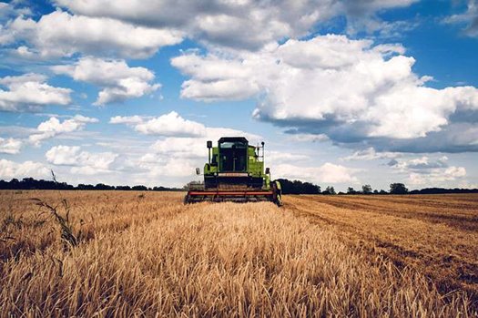 agriculture 1866896 640
