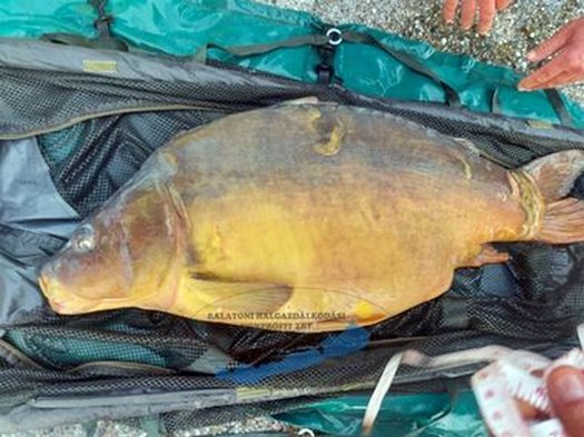 300587060 5453638738058919 2153057097228200452 n