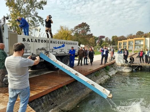 img 20221012 113257 resized 20221014 111247885